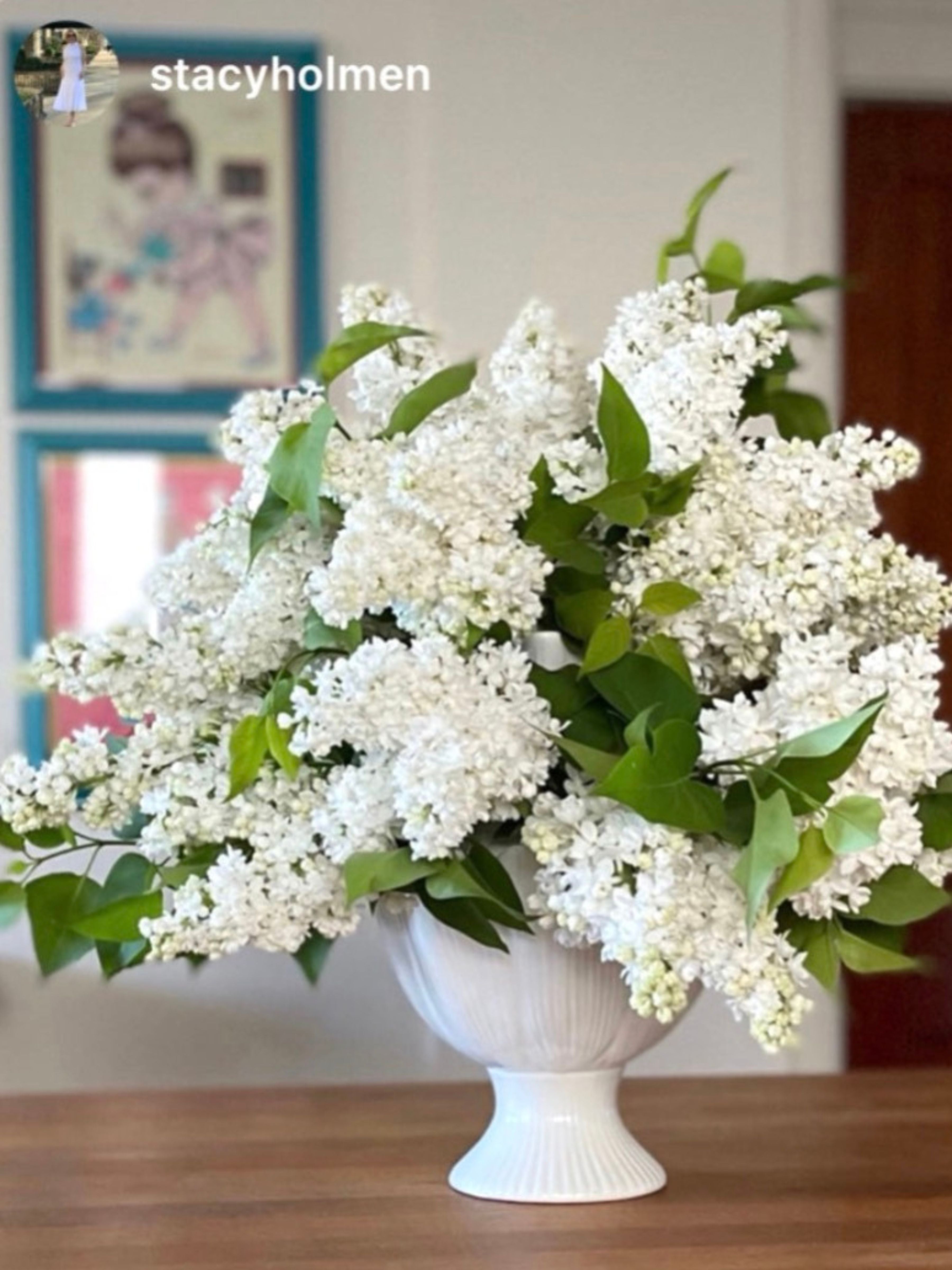 Small White Tulipiere Vase
