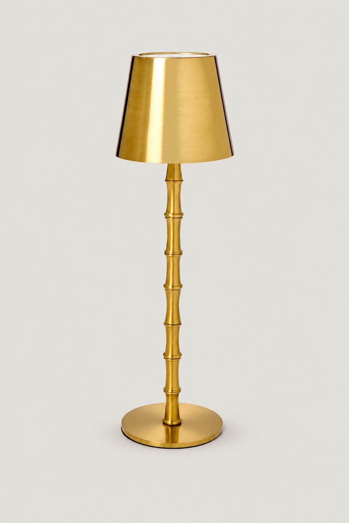 Brass Bamboo LED Table Lamp