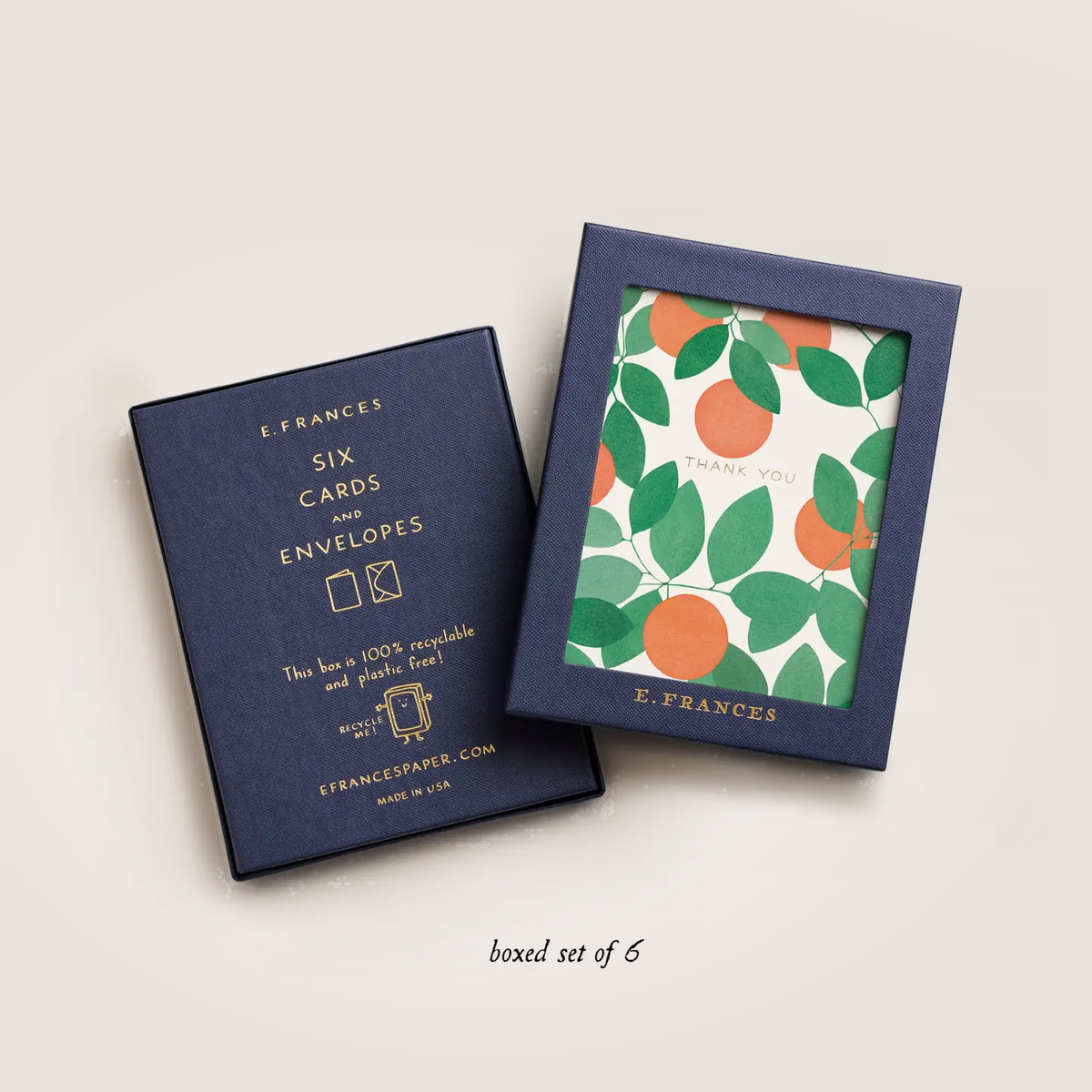 Orange Grove Thank You Boxed Card Set