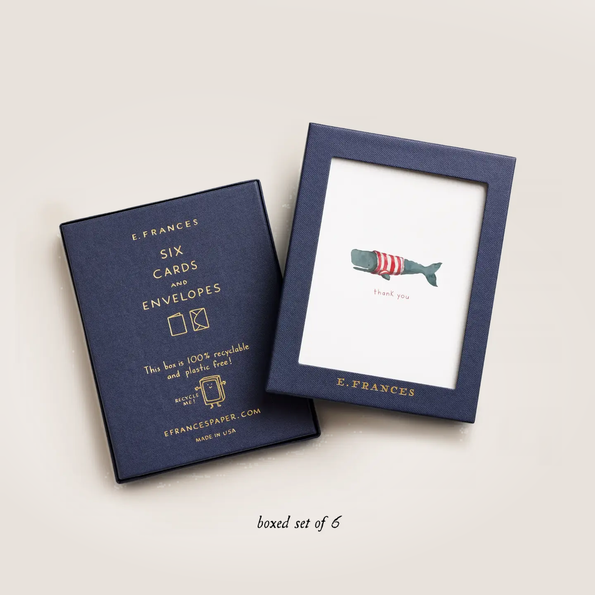 Whale Thank You Boxed Card Set