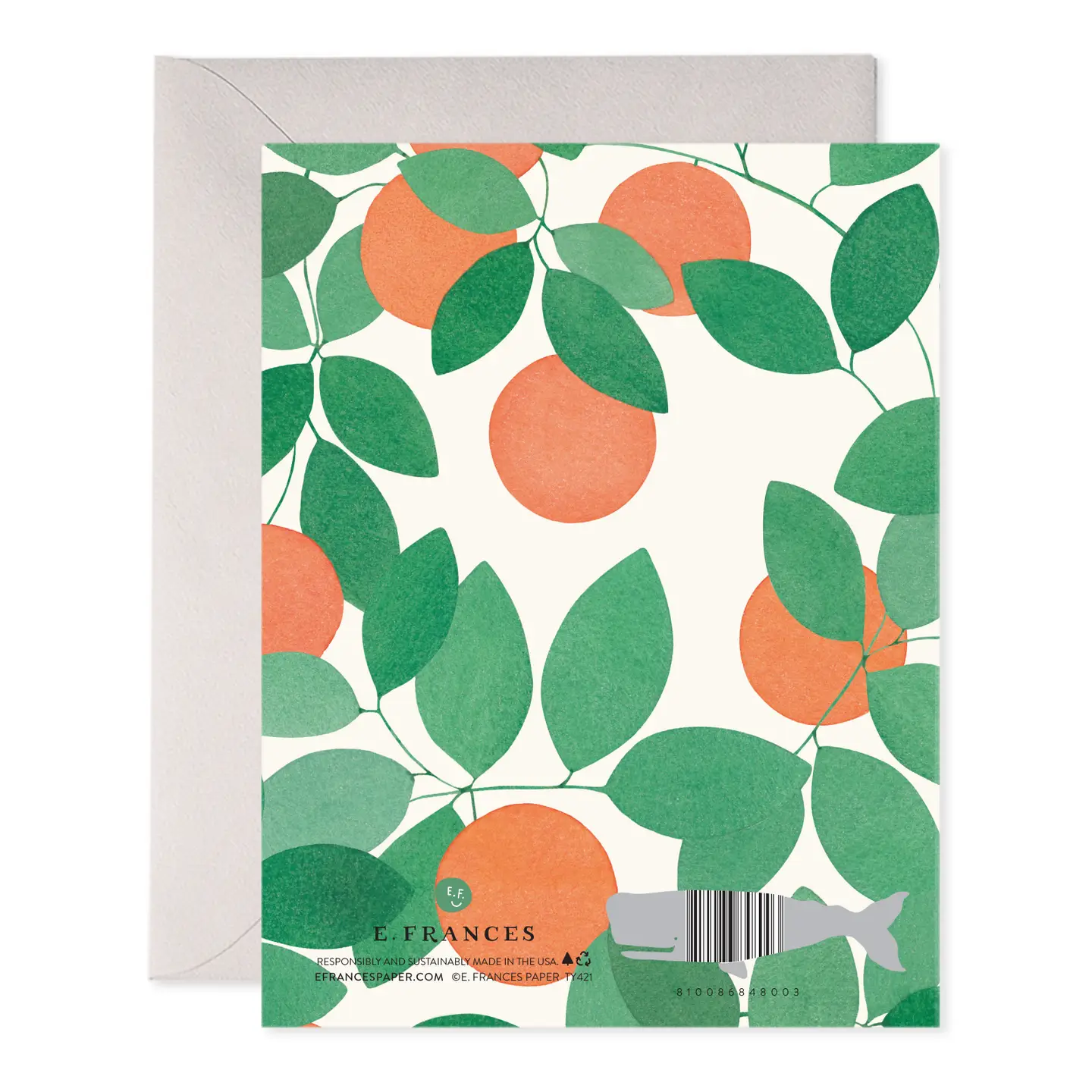 Orange Grove Thank You Boxed Card Set