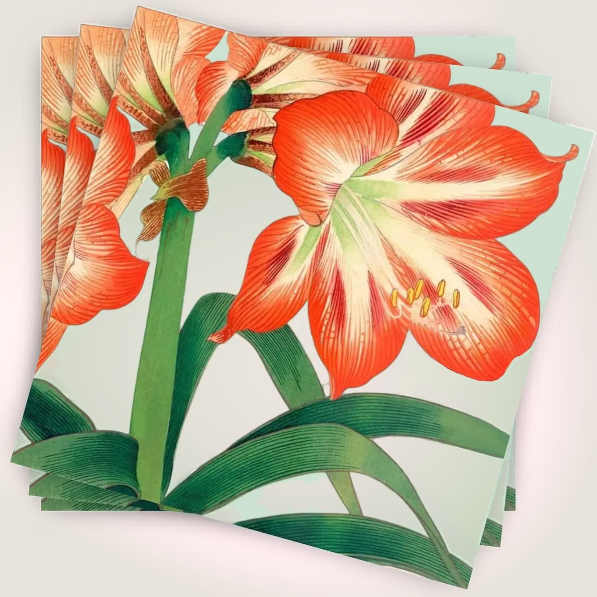 Amaryllis Cocktail Paper Napkins