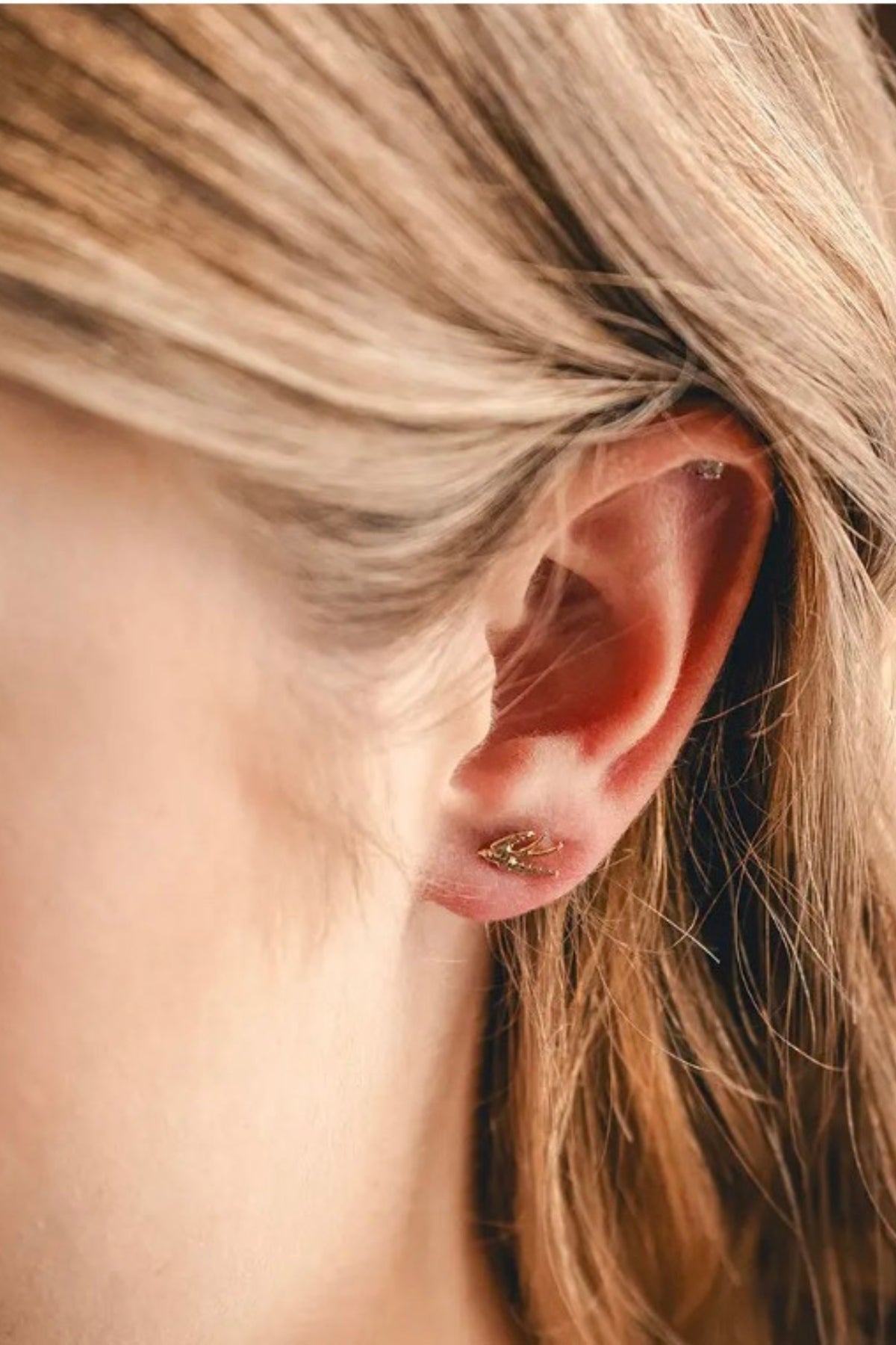 Swallow Bird Stud Earrings worn