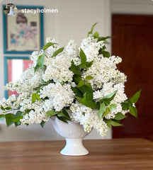 Small White Tulipiere Vase