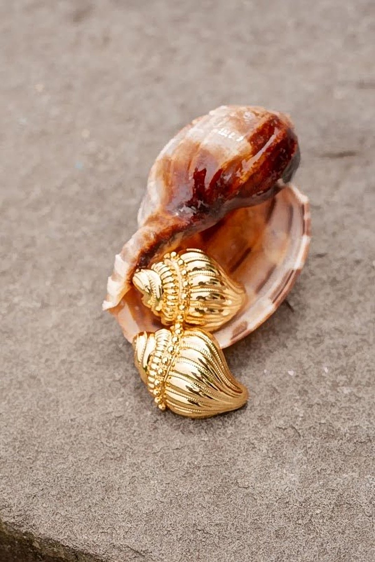 The gold James conch shell earrings resting inside a real seashell on stone, showing the ridged texture.