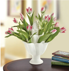 (Preorder) Small White Tulipiere Vase 9.25" H