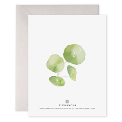 Pancake Plant Pilea Plant | Thank You Greeting Card