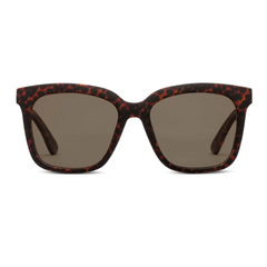 First Class (Sunglasses) Leopard Tortoise Readers