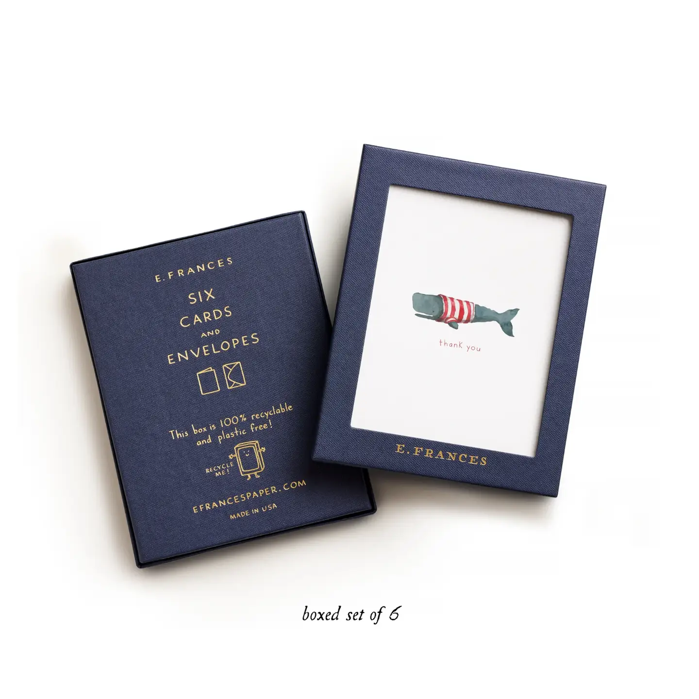 Whale Thank You Boxed Card Set