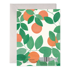 Orange Grove Thank You Boxed Card Set