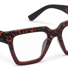 Take a Bow Leopard Tortoise Red Readers