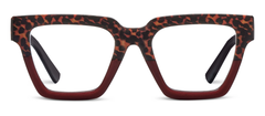 Take a Bow Leopard Tortoise Red Readers