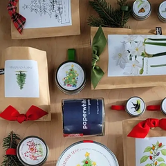 Garden in a Bag | Christmas Tree-to-Be (Scotch Pine, Pinus sylvestris)