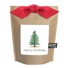 Garden in a Bag | Christmas Tree-to-Be (Scotch Pine, Pinus sylvestris)