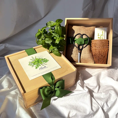 Culinary Herb Garden Box | Organic Herb Kit | Holiday Gift for Gardeners
