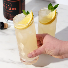 Gem Crystal Highball Tumblers Set of 2