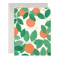 Orange Grove Thank You Boxed Card Set