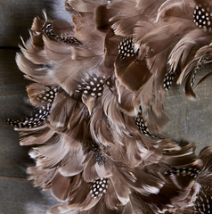 Fall Guinea Feather Wreath (sold individually)