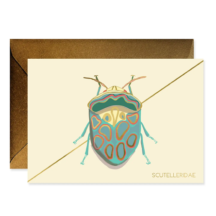 Teal Beetle Stationery Boxed Card Set – Set of 6