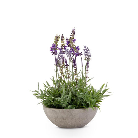 Lavender 13" Arrangement in Gray Bowl