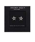 Silver Star Studs