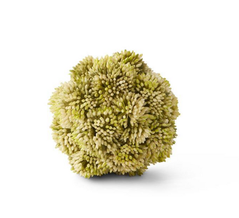 4" Light Green Sedum Ball