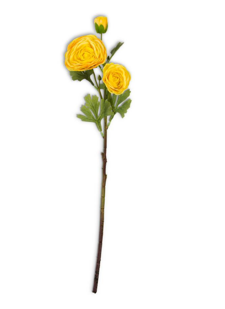 Yellow Ranunculus Stem, 25" Real Touch
