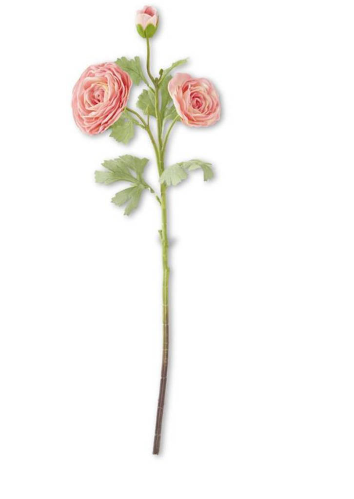 Dark Pink Ranunculus Stem, 25