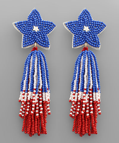 Fireworks Tassel Earrings